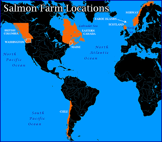 Salmon farming will be governed by global standards from later this year. Salmon Farming areas